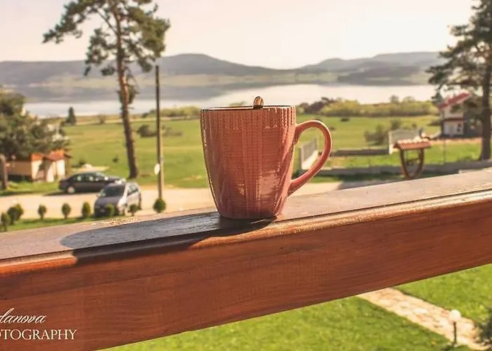 Lidia 3* تسيغوف تشارك